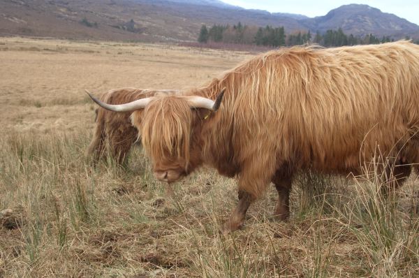 Great hairstyle.